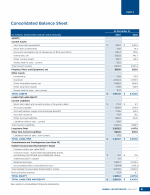 - Consolidated Balance Sheet