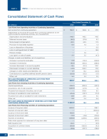 - Consolidated Statement of Cash Flows