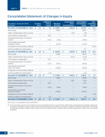 - Consolidated Statement of Changes in Equity